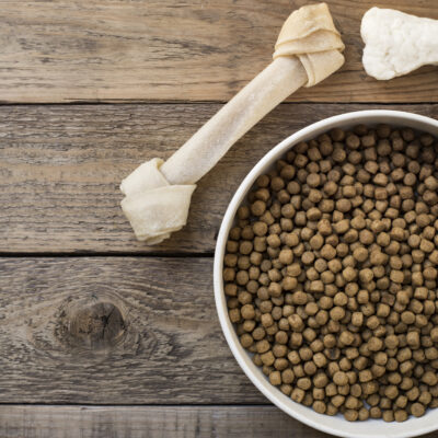 6 Popular Healthy Dog Food Products