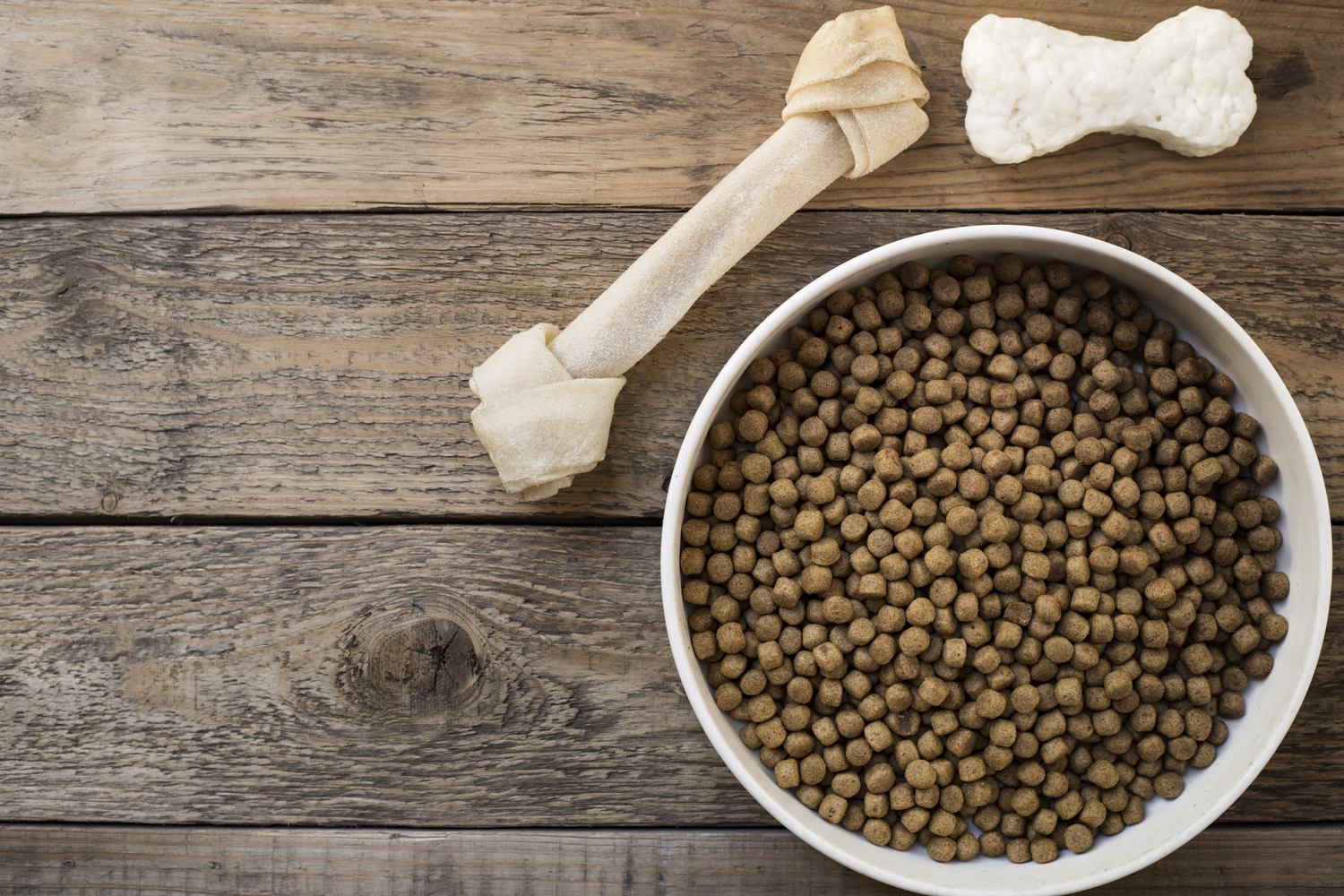 6 Popular Healthy Dog Food Products