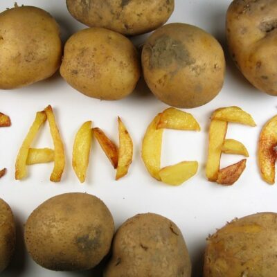 Ensuring Food Safety in Snacks for Cancer Patients