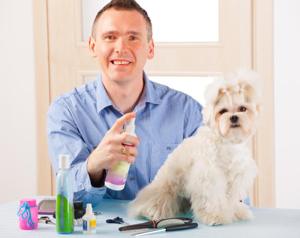 Natural Flea Prevention in the Home