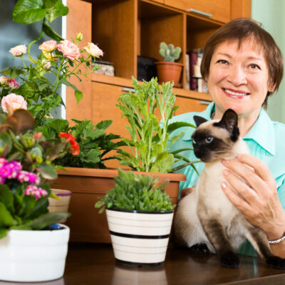 Toxic Houseplants for Cats from the ASPCA