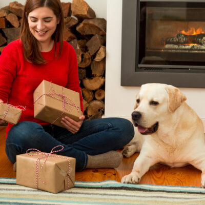 Top U.S. Destinations for Pet-Friendly Travel